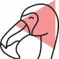 flamingo flamingo