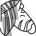 zebra zebra
